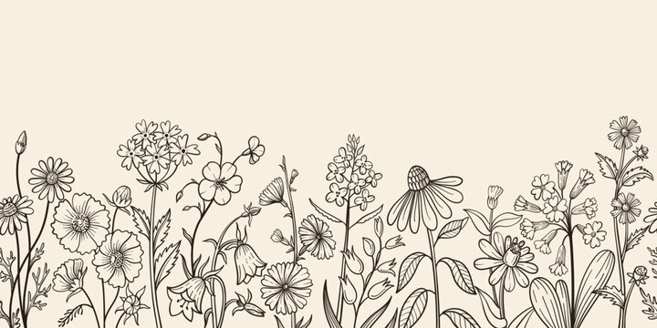 Wildflower seamless border with hand drawn meadow blooms, daisy and bellflower for vintage poster, rustic invitation botanical template. Isolated vector sketch banner
