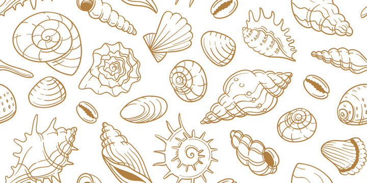 Seashell seamless pattern with doodle clams for coastal wallpaper, nautical textile. Hand drawn oyster snail vector marine background, sea and ocean texture