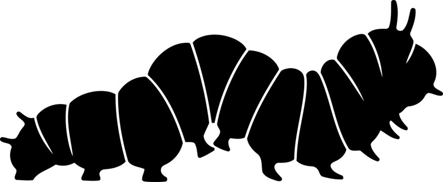 Caterpillar wavy movement silhouette insect larva nature illustration animal vector graphic side view crawling