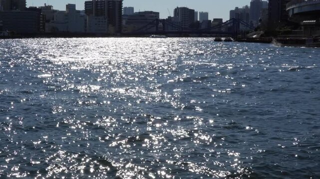 晴れの日の墨田川と遊覧船