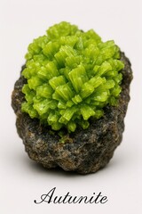 Autunite crystal cluster on matrix showing vivid yellow green coloration