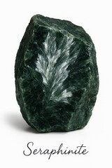 Geological specimen of rare seraphinite gemstone with intricate white inclusions