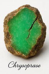 Museum style chrysoprase sample isolated on white with identification label