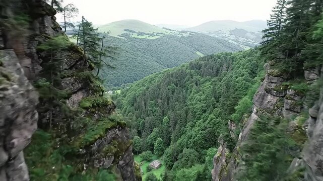 Slow downward crane video from drone POV reveals vast, pristine mountain valley with lush forests, rustic cottages, streams, framed by mossy cliffs in soft light, deep focus landscape concept