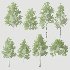Obraz premium White Birch Tree 3D Cutout Vector Set Isolated on Transparent Background