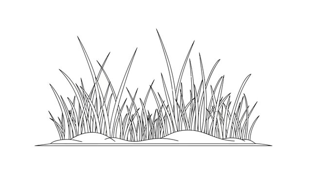 Drawing of tall green grass blades.