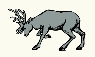 Obraz premium Vector drawing. The reindeer bent its antlers