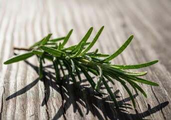 Sprig of fresh rosemary lying on rustic wooden table in warm sunlight