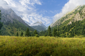 Obraz premium Scenic View of Pine and birch Forests and Mountains in Minimarg Valley