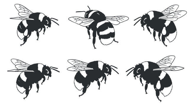 A set of six bumblebee illustrations in black and white vector style, ideal for nature and environmental projects