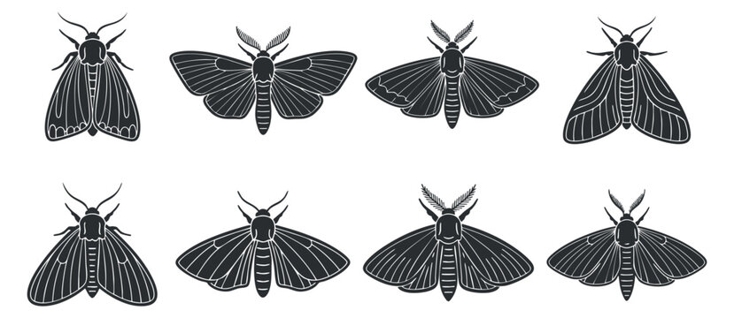 A collection of moth and butterfly silhouettes in black and white minimalist vector style, suitable for nature-themed designs