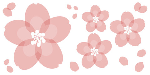 Japanese Style Pastel Pink Sakura Cherry Blossoms for Graduation Enrollment Celebration Spring Yume Kawaii Vector for Video Production, SNS Banners, Flyers, and White Space.