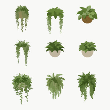 Wall Mounted Plants 3D Cutout Vector Set Isolated on Transparent Background