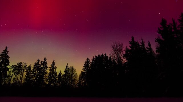 Spectacular northern lights over forest. 4k timelapse video.