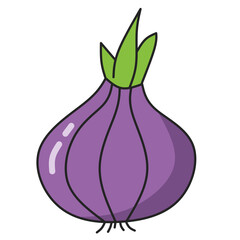 Onion Illustrations