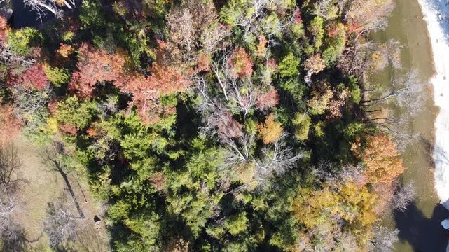 Vivid fall foliage over White Rock Creek flows across upper quadrant, flanked by sandbars and leaf-littered banks. Multicolor canopy blends bare limbs, evergreen patches. North Dallas, Texas