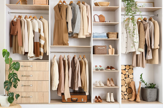 Modern wardrobe with stylish clothes, organizers and plants