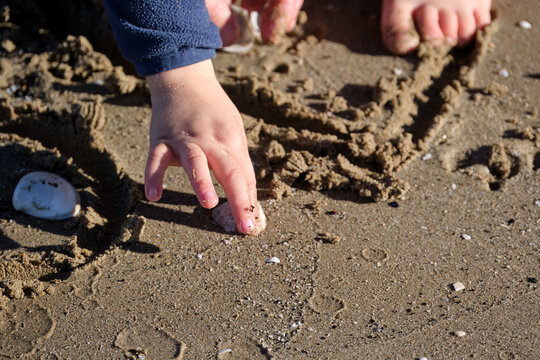 Childs hand exploring shells and sand on a sunny beach during daytime play