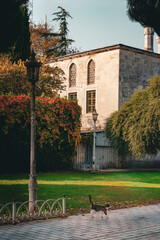 Scaffolded mosque minaret under restoration in Istanbul