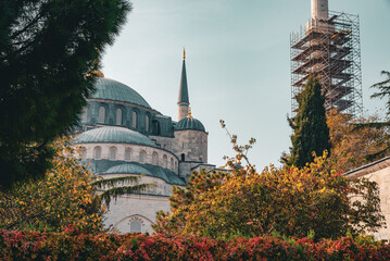 Ottoman mosque domes framed by autumn foliage in Istanbul