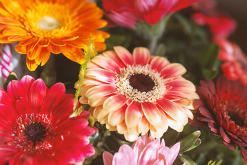 Bouquet of flowers in pink, red and white colors, close up