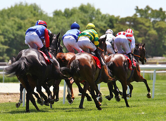 Grupo de caballos a galope en hip&oacute;dromo con jockey y purasangre 