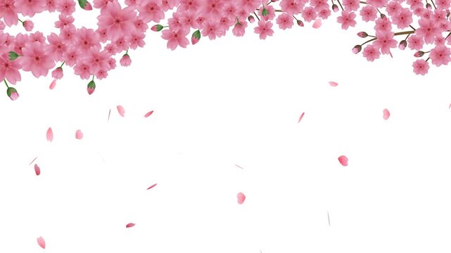 桜の花びらが散るアニメーション