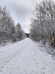 Obraz premium road in winter