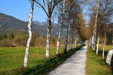 Herbst im Blinklingmoos im Salzkammergut
