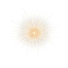 Radiant Golden Firework Burst Starburst Explosion on White Background