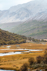 The golden grasslands in the highland valleys during autumn, Daocheng Yading Scenic Area, Sichuan, China