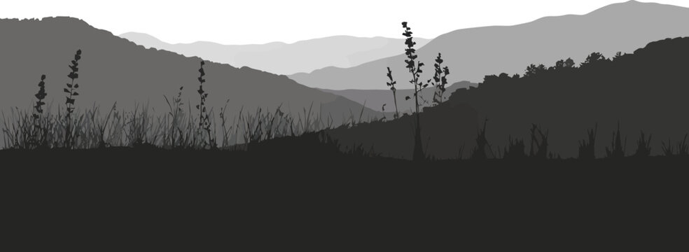 Grassy Foreground Silhouette of Distant Mountains landscape