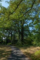 Obraz premium Parkanlage mit alten Bäumen und vielen Wegen zum Spazieren