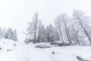 Italian prison police transport bus driving on highway