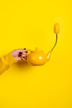 Hand holding a yellow teapot with a yellow tulip emerging from the spout against a vibrant yellow background. Minimalist composition, creative concept.