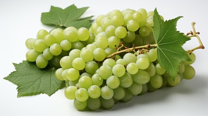 Luscious Green Grapes Still Life Isolated