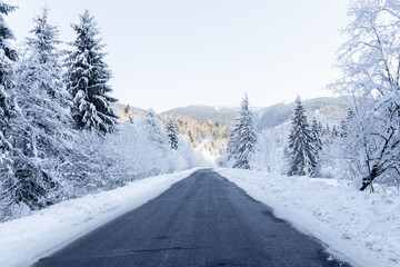 Obraz premium A breathtaking fairytale winter landscape with frosty, snow-covered fir trees lining the road