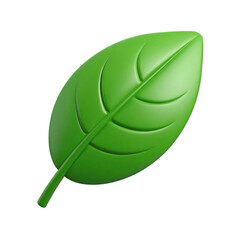 Green Leaf with Stem and Veins.