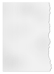 Obraz premium white sheet of torn paper on one side of the edges