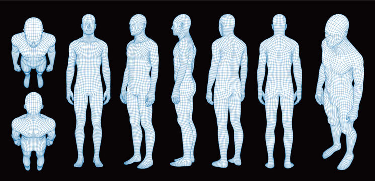 Human Body 3D Wireframe Mesh Model, Male Figure Multi-Angle Views including Front, Back, Side, and Top, Digital Grid for Technology, AI, Medical, Science, and Biometric Analysis Visualization