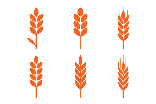 Simple wheat stalk illustrations for natural food design and rural agriculture themes