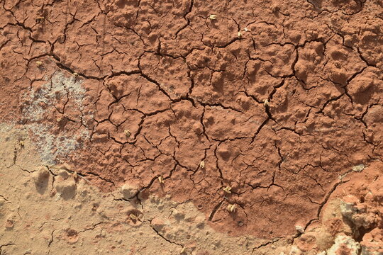 Textura de barro vermelho rachado, solo do sert&atilde;o seco