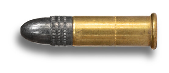 Obraz premium Shadown under a cartridge designed for .22 caliber rimfires
