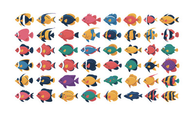 Exotic Ocean Fish Set Colorful Flat Illustration Vector Illustration, easily editable.
