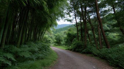Naklejka premium Peaceful Winding Path Through Lush Bamboo Forest Beneath Arching Trees and Verdant Canopy