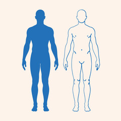 Human Body Silhouette Icon &ndash; Anatomy Medical Figure Health Illustration
