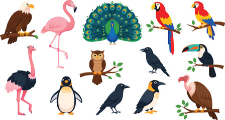 Naklejka premium Exotic bird illustration set with peacock, flamingo, parrot, eagle and toucan