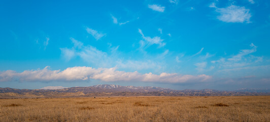 Vast open grassland stretching toward distant mountains under a bright blue sky with soft clouds, showcasing peaceful wilderness, natural landscape, freedom, travel, and serene outdoor scenery.