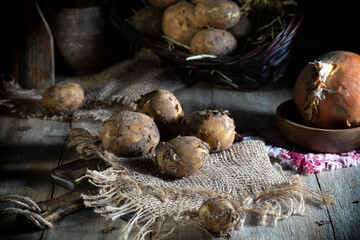 Fresh unwashed potatoes on a village table