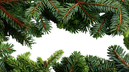 Christmas background with fir branches isolated on transparent backgrounded, clean and festive composition